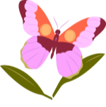 butterfly-1